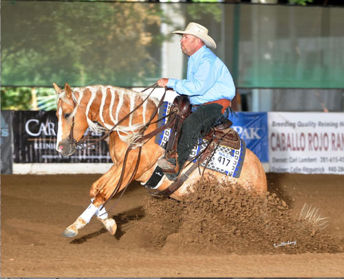 David Hutton on Busy Winin Chex